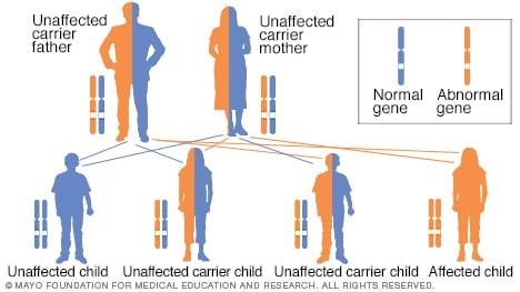 جهش ژنی مرتبط با بیماری کراب تنها در صورتی باعث بروز بیماری میشود که فرد دو نسخه از ژن معیوب را به ارث ببرد. به اینگونه مدل وراثت اتوزومال مغلوب میگویند.