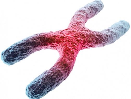 کروموزوم¬ها ساختارهای چوبی شکل در وسط هر سلول در بدن هستند. هر سلول دارای 46 عدد کروموزوم است که در 23 جفت گروه¬بندی شده¬اند. زمانی که یک کروموزوم غیرطبیعی باشد، می¬تواند باعث بروز مشکلاتی در سلامتی بدن شود. کروموزوم‌های غیرطبیعی اغلب در نتیجه یک خطا در طول تقسیم سلولی رخ می‌دهند. ناهنجاری¬های کروموزومی اغلب به دلیل یک یا چند مورد از موارد زیر رخ می¬دهد: • خطا در هنگام تقسیم سلول¬های جنسی (تقسیم میوز) • خطا در هنگام تقسیم سلول¬های دیگر (تقسیم میتوز) • قرار گرفتن در معرض موادی که باعث نقص مادرزادی می¬شوند (تراتوژن¬ها)