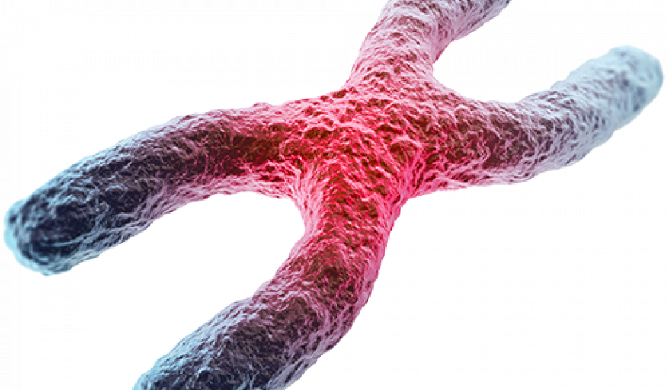 کروموزوم¬ها ساختارهای چوبی شکل در وسط هر سلول در بدن هستند. هر سلول دارای 46 عدد کروموزوم است که در 23 جفت گروه¬بندی شده¬اند. زمانی که یک کروموزوم غیرطبیعی باشد، می¬تواند باعث بروز مشکلاتی در سلامتی بدن شود. کروموزوم‌های غیرطبیعی اغلب در نتیجه یک خطا در طول تقسیم سلولی رخ می‌دهند. ناهنجاری¬های کروموزومی اغلب به دلیل یک یا چند مورد از موارد زیر رخ می¬دهد: • خطا در هنگام تقسیم سلول¬های جنسی (تقسیم میوز) • خطا در هنگام تقسیم سلول¬های دیگر (تقسیم میتوز) • قرار گرفتن در معرض موادی که باعث نقص مادرزادی می¬شوند (تراتوژن¬ها)